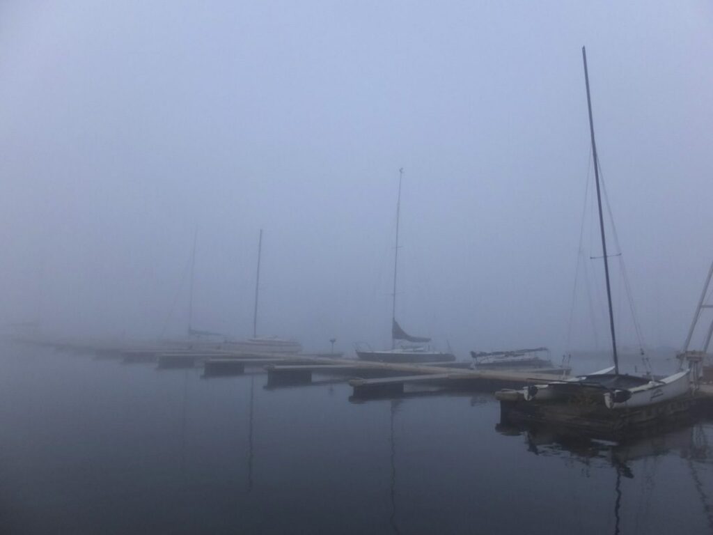 Rehbach am Atlantik