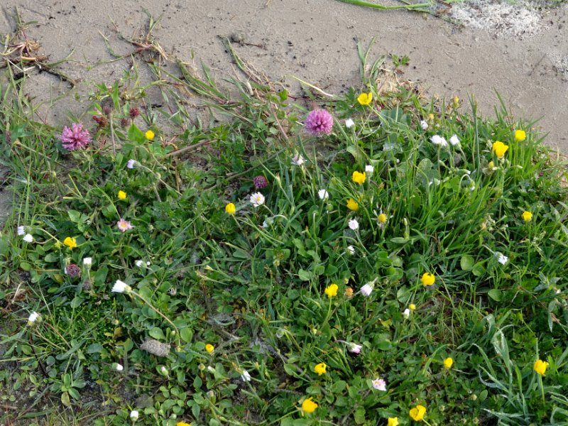 Friesland 2016, Bild 12