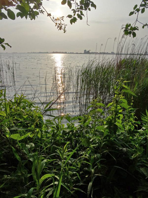 Friesland 2016, Bild 15