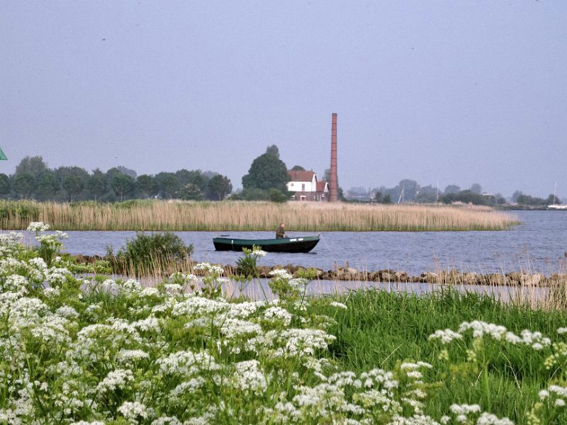 Friesland 2016, Bild 16