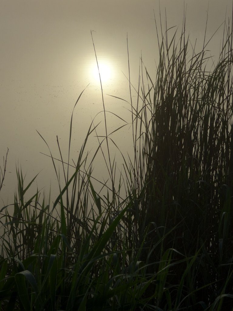Friesland 2017, Bild 9