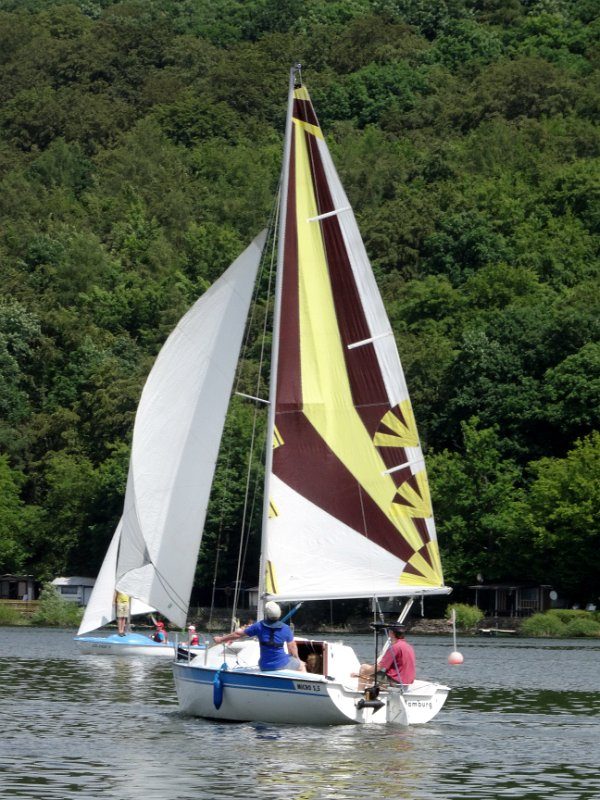 Gästeboot Micro 55 mit markantem Segel
